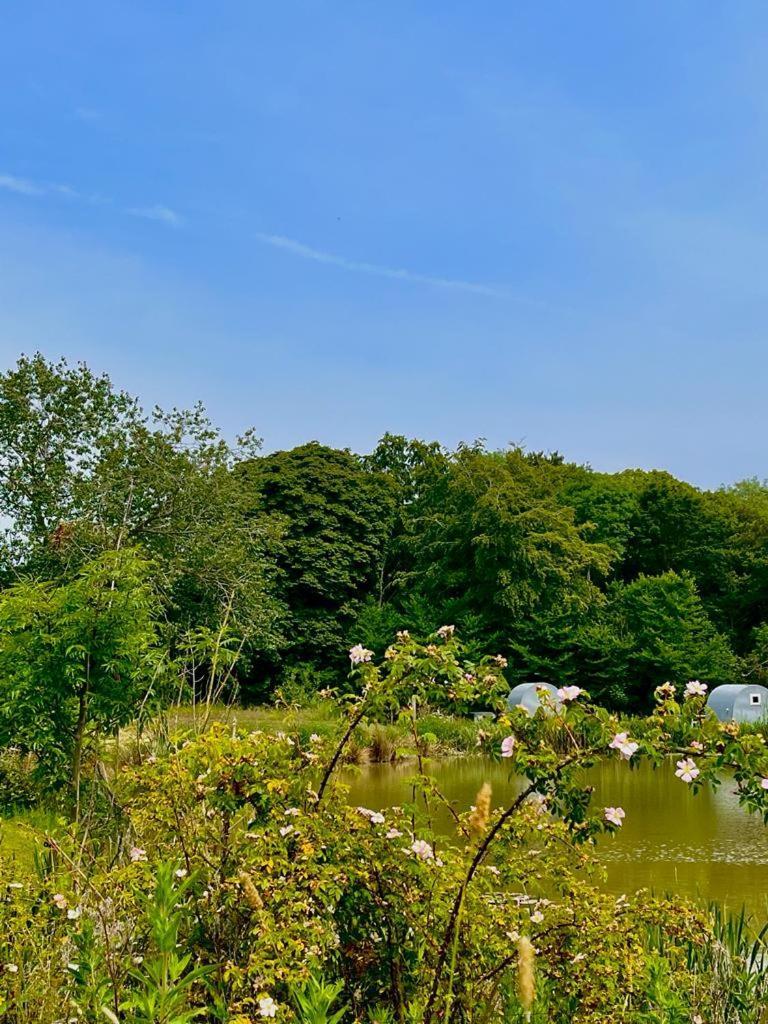 Mill Stream Retreat Villa Legbourne Екстериор снимка